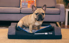 A superior level of comfort for your pet, with walls of softness and high ergonomic design with original Memory Foam® foam for a lasting rest.